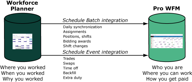 Schedule Export overview